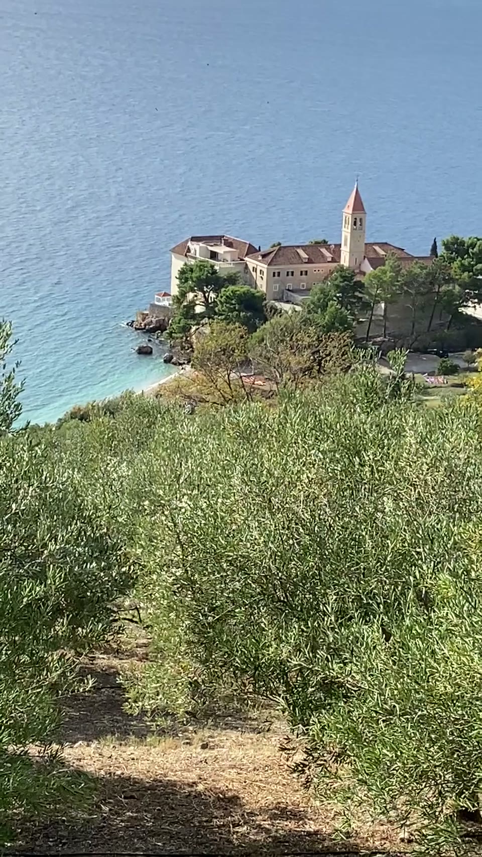 Video 7